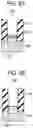 Fig. 07 - SUBSTRATE PROCESSING METHOD AND SUBSTRATE PROCESSING SYSTEM