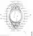 Fig. 07 - Plastic spout and pouch packaging