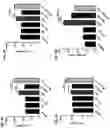 Fig. 19 - AMPHIPHILIC OLIGODEOXYNUCLEOTIDE CONJUGATES AS ADJUVANT ENHANCERS