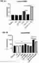 Fig. 20 - AMPHIPHILIC OLIGODEOXYNUCLEOTIDE CONJUGATES AS ADJUVANT ENHANCERS