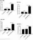 Fig. 24 - AMPHIPHILIC OLIGODEOXYNUCLEOTIDE CONJUGATES AS ADJUVANT ENHANCERS