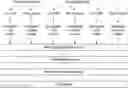 Fig. 01 - Methods and compounds for the treatment or prevention of hypercytokinemia and severe influenza