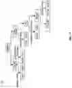 Fig. 12 - Building dialogue structure by using communicative discourse trees