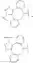Fig. 55 - ANTIBODIES COMPRISING SITE-SPECIFIC GLUTAMINE TAGS, METHODS OF THEIR PREPARATION AND METHODS OF THEIR USE