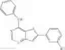 Fig. 22 - COMPOSITIONS AND METHODS FOR TREATING NEURODEGENERATIVE, MYODEGENERATIVE, AND LYSOSOMAL STORAGE DISORDERS
