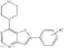 Fig. 23 - COMPOSITIONS AND METHODS FOR TREATING NEURODEGENERATIVE, MYODEGENERATIVE, AND LYSOSOMAL STORAGE DISORDERS