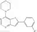Fig. 24 - COMPOSITIONS AND METHODS FOR TREATING NEURODEGENERATIVE, MYODEGENERATIVE, AND LYSOSOMAL STORAGE DISORDERS