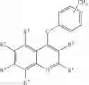 Fig. 30 - COMPOSITIONS AND METHODS FOR TREATING NEURODEGENERATIVE, MYODEGENERATIVE, AND LYSOSOMAL STORAGE DISORDERS