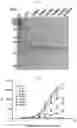 Fig. 02 - Epitope-directed antibody selection by photocrosslinking