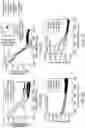 Fig. 07 - GENETICALLY-TARGETED CHEMICAL ASSEMBLY: BUILDING FUNCTIONAL STRUCTURES AND MATERIALS IN LIVING CELLS, TISSUES, AND ANIMALS
