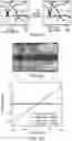 Fig. 10 - GENETICALLY-TARGETED CHEMICAL ASSEMBLY: BUILDING FUNCTIONAL STRUCTURES AND MATERIALS IN LIVING CELLS, TISSUES, AND ANIMALS