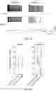 Fig. 15 - GENETICALLY-TARGETED CHEMICAL ASSEMBLY: BUILDING FUNCTIONAL STRUCTURES AND MATERIALS IN LIVING CELLS, TISSUES, AND ANIMALS