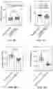 Fig. 21 - GENETICALLY-TARGETED CHEMICAL ASSEMBLY: BUILDING FUNCTIONAL STRUCTURES AND MATERIALS IN LIVING CELLS, TISSUES, AND ANIMALS