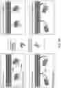 Fig. 23 - GENETICALLY-TARGETED CHEMICAL ASSEMBLY: BUILDING FUNCTIONAL STRUCTURES AND MATERIALS IN LIVING CELLS, TISSUES, AND ANIMALS