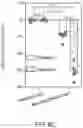 Fig. 25 - GENETICALLY-TARGETED CHEMICAL ASSEMBLY: BUILDING FUNCTIONAL STRUCTURES AND MATERIALS IN LIVING CELLS, TISSUES, AND ANIMALS