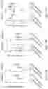 Fig. 43 - GENETICALLY-TARGETED CHEMICAL ASSEMBLY: BUILDING FUNCTIONAL STRUCTURES AND MATERIALS IN LIVING CELLS, TISSUES, AND ANIMALS
