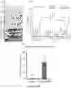 Fig. 06 - Methods of editing DNA methylation