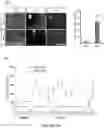 Fig. 07 - Methods of editing DNA methylation