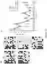 Fig. 10 - Methods of editing DNA methylation