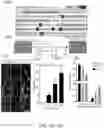 Fig. 33 - Methods of editing DNA methylation