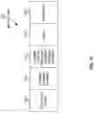 Fig. 09 - MULTI-LINK OPERATING CHANNEL VALIDATION