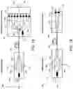 Fig. 02 - Optical multiple-input-multiple-output (MIMO) demultiplexers