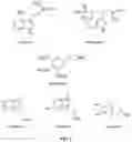 Fig. 02 - PHARMACEUTICAL FORMULATION CONTAINING A PSYCHEDELIC SUBSTANCE OBTAINED BY SELECTIVE LASER SINTERING (SLS) 3D PRINTING