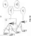 Fig. 02 - METHODS, APPARATUS, AND SYSTEMS FOR RELIABLE CHANNEL STATE INFORMATION REPORTING