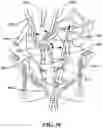 Fig. 22 - Instrument control surgical imaging systems