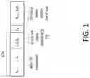 Fig. 02 - PBCH timing and aspects of polar code design