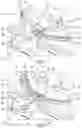 Fig. 06 - Device of distribution of impregnated supports and associated method