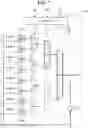 Fig. 08 - INTEGRATED CIRCUIT AND AN ELECTRONIC DEVICE INCLUDING INTEGRATED CIRCUIT