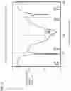 Fig. 05 - Single sided channel mesa power junction field effect transistor