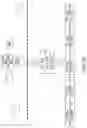 Fig. 33 - INTELLIGENT VIBRATION DIGITAL TWIN SYSTEMS AND METHODS FOR INDUSTRIAL ENVIRONMENTS