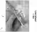 Fig. 02 - HAND-HELD MULTI-PURPOSE KITCHEN TOOL