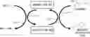 Fig. 01 - MEASUREMENT DEVICE AND MEASUREMENT METHOD