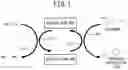 Fig. 02 - MEASUREMENT DEVICE AND MEASUREMENT METHOD