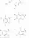 Fig. 08 - COMPOSITIONS AND METHODS FOR MODULATING INFLAMMATORY AND DEGENERATIVE DISORDER