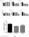 Fig. 04 - NANOMETRIC PHARMACEUTICAL COMPOSITION IN THE FORM OF LIPOSOMES OR NANOEMULSION CONTAINING SPECIFIC SEQUENCES OF INTERFERENCE RNA