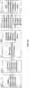 Fig. 02 - APPARATUS AND METHOD OF CONVERTING DIGITAL IMAGES TO THREE-DIMENSIONAL CONSTRUCTION IMAGES