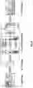 Fig. 08 - APPARATUS AND METHOD OF CONVERTING DIGITAL IMAGES TO THREE-DIMENSIONAL CONSTRUCTION IMAGES