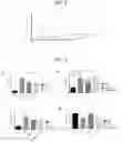 Fig. 06 - PURMORPHAMINE AS A SMALL COMPOUND POSITIVE ALLOSTERIC MODULATOR OF SECRETIN RECEPTOR  FOR THE TREATMENT OF HYPERTENSION