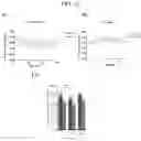 Fig. 08 - PURMORPHAMINE AS A SMALL COMPOUND POSITIVE ALLOSTERIC MODULATOR OF SECRETIN RECEPTOR  FOR THE TREATMENT OF HYPERTENSION