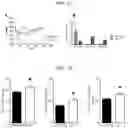 Fig. 09 - PURMORPHAMINE AS A SMALL COMPOUND POSITIVE ALLOSTERIC MODULATOR OF SECRETIN RECEPTOR  FOR THE TREATMENT OF HYPERTENSION