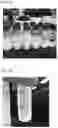 Fig. 08 - PROCESS FOR POLYMERIZING MOLECULAR-WEIGHT CONTROLLED POLYMER