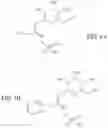 Fig. 02 - METHOD FOR IMPROVING THE TASTE OF MORINGA SEEDS WHILE RETAINING THEIR NUTRITIVE VALUE