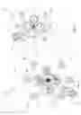 Fig. 06 - Internal Combustion Engine