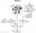 Fig. 04 - REAL-TIME MALWARE PROPAGATION FORECASTING