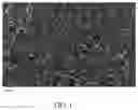 Fig. 02 - Negative active material, electrochemical device that uses same, and electronic device