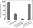 Fig. 01 - Protein product capable of immobilizing target and being cleared as required